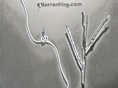 Rapel desviado 019_RET_OPT